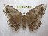  ( - BC-EvS 1450)  @13 [ ] Copyright (2010) Eric Van Schayck Research Collection of Eric Van Schayck