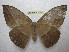  ( - BC-EvS 1452)  @14 [ ] Copyright (2010) Eric Van Schayck Research Collection of Eric Van Schayck