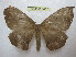  ( - BC-EvS 1462)  @14 [ ] Copyright (2010) Eric Van Schayck Research Collection of Eric Van Schayck