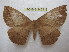  ( - BC-EvS 1463)  @14 [ ] Copyright (2010) Eric Van Schayck Research Collection of Eric Van Schayck