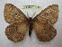  ( - BC-EvS 1490)  @14 [ ] Copyright (2010) Eric Van Schayck Research Collection of Eric Van Schayck