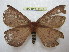  ( - BC-EvS 1491)  @11 [ ] Copyright (2010) Eric Van Schayck Research Collection of Eric Van Schayck