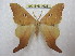  ( - BC-EvS 1628)  @13 [ ] Copyright (2010) Eric Van Schayck Research Collection of Eric Van Schayck