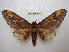  ( - BC-EvS 1672)  @14 [ ] Copyright (2010) Eric Van Schayck Research Collection of Eric Van Schayck