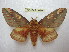  ( - BC-EvS 1679)  @13 [ ] Copyright (2010) Eric Van Schayck Research Collection of Eric Van Schayck