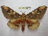  ( - BC-EvS 1681)  @13 [ ] Copyright (2010) Eric Van Schayck Research Collection of Eric Van Schayck