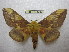  ( - BC-EvS 1808)  @13 [ ] Copyright (2010) Eric Van Schayck Research Collection of Eric Van Schayck