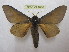  ( - BC-EvS 1810)  @14 [ ] Copyright (2010) Eric Van Schayck Research Collection of Eric Van Schayck
