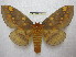  ( - BC-EvS 1821)  @11 [ ] Copyright (2010) Eric Van Schayck Research Collection of Eric Van Schayck