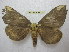  ( - BC-EvS 1830)  @13 [ ] Copyright (2010) Eric Van Schayck Research Collection of Eric Van Schayck
