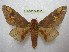  ( - BC-EvS 1835)  @14 [ ] Copyright (2010) Eric Van Schayck Research Collection of Eric Van Schayck