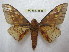  ( - BC-EvS 1836)  @14 [ ] Copyright (2010) Eric Van Schayck Research Collection of Eric Van Schayck