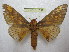  ( - BC-EvS 1837)  @14 [ ] Copyright (2010) Eric Van Schayck Research Collection of Eric Van Schayck