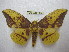  ( - BC-EvS 1877)  @11 [ ] Copyright (2010) Eric Van Schayck Research Collection of Eric Van Schayck