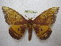  ( - BC-EvS 1892)  @14 [ ] Copyright (2010) Eric Van Schayck Research Collection of Eric Van Schayck