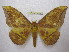  ( - BC-EvS 1899)  @13 [ ] Copyright (2010) Eric Van Schayck Research Collection of Eric Van Schayck