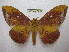  ( - BC-EvS 1902)  @14 [ ] Copyright (2010) Eric Van Schayck Research Collection of Eric Van Schayck