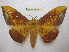  ( - BC-EvS 1903)  @14 [ ] Copyright (2010) Eric Van Schayck Research Collection of Eric Van Schayck