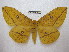  ( - BC-EvS 1904)  @14 [ ] Copyright (2010) Eric Van Schayck Research Collection of Eric Van Schayck