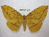  ( - BC-EvS 1905)  @14 [ ] Copyright (2010) Eric Van Schayck Research Collection of Eric Van Schayck
