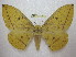  ( - BC-EvS 1934)  @14 [ ] Copyright (2010) Eric Van Schayck Research Collection of Eric Van Schayck