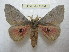  ( - BC-EvS 1994)  @11 [ ] Copyright (2010) Eric Van Schayck Research Collection of Eric Van Schayck