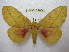  ( - BC-EvS 2004)  @11 [ ] Copyright (2010) Eric Van Schayck Research Collection of Eric Van Schayck