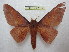  ( - BC-EvS 2017)  @14 [ ] Copyright (2010) Eric Van Schayck Research Collection of Eric Van Schayck