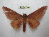  ( - BC-EvS 2018)  @11 [ ] Copyright (2010) Eric Van Schayck Research Collection of Eric Van Schayck