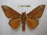  ( - BC-EvS 2028)  @11 [ ] Copyright (2010) Eric Van Schayck Research Collection of Eric Van Schayck