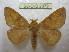  ( - BC-EvS 2079)  @13 [ ] Copyright (2010) Eric Van Schayck Research Collection of Eric Van Schayck