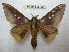  ( - BC-EvS 2108)  @14 [ ] Copyright (2010) Eric Van Schayck Research Collection of Eric Van Schayck