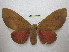 ( - BC-EvS 2123)  @13 [ ] Copyright (2010) Eric Van Schayck Research Collection of Eric Van Schayck