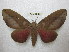  ( - BC-EvS 2125)  @13 [ ] Copyright (2010) Eric Van Schayck Research Collection of Eric Van Schayck