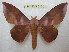  ( - BC-EvS 2130)  @14 [ ] Copyright (2010) Eric Van Schayck Research Collection of Eric Van Schayck