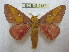  ( - BC-EvS 2137)  @14 [ ] Copyright (2010) Eric Van Schayck Research Collection of Eric Van Schayck