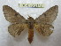  ( - BC-EvS 2147)  @13 [ ] Copyright (2010) Eric Van Schayck Research Collection of Eric Van Schayck