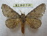  ( - BC-EvS 2150)  @13 [ ] Copyright (2010) Eric Van Schayck Research Collection of Eric Van Schayck
