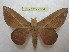  ( - BC-EvS 2154)  @14 [ ] Copyright (2010) Eric Van Schayck Research Collection of Eric Van Schayck
