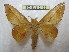  ( - BC-EvS 2159)  @11 [ ] Copyright (2010) Eric Van Schayck Research Collection of Eric Van Schayck