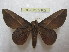  ( - BC-EvS 2182)  @14 [ ] Copyright (2010) Eric Van Schayck Research Collection of Eric Van Schayck