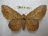  ( - BC-EvS 2189)  @11 [ ] Copyright (2010) Eric Van Schayck Research Collection of Eric Van Schayck