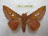  ( - BC-EvS 2194)  @13 [ ] Copyright (2010) Eric Van Schayck Research Collection of Eric Van Schayck