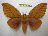  ( - BC-EvS 2215)  @14 [ ] Copyright (2010) Eric Van Schayck Research Collection of Eric Van Schayck