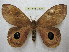  ( - BC-EvS 2220)  @13 [ ] Copyright (2010) Eric Van Schayck Research Collection of Eric Van Schayck
