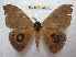 ( - BC-EvS 2272)  @13 [ ] Copyright (2010) Eric Van Schayck Research Collection of Eric Van Schayck