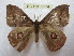  ( - BC-EvS 2274)  @13 [ ] Copyright (2010) Eric Van Schayck Research Collection of Eric Van Schayck