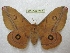  ( - BC-EvS 2329)  @12 [ ] Copyright (2010) Eric Van Schayck Research Collection of Eric Van Schayck