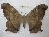  ( - BC-EvS 2957)  @14 [ ] Copyright (2012) Eric van Schayck Research Collection of Eric Van Schayck