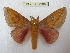  ( - BC-EvS 2968)  @14 [ ] Copyright (2012) Eric van Schayck Research Collection of Eric Van Schayck
